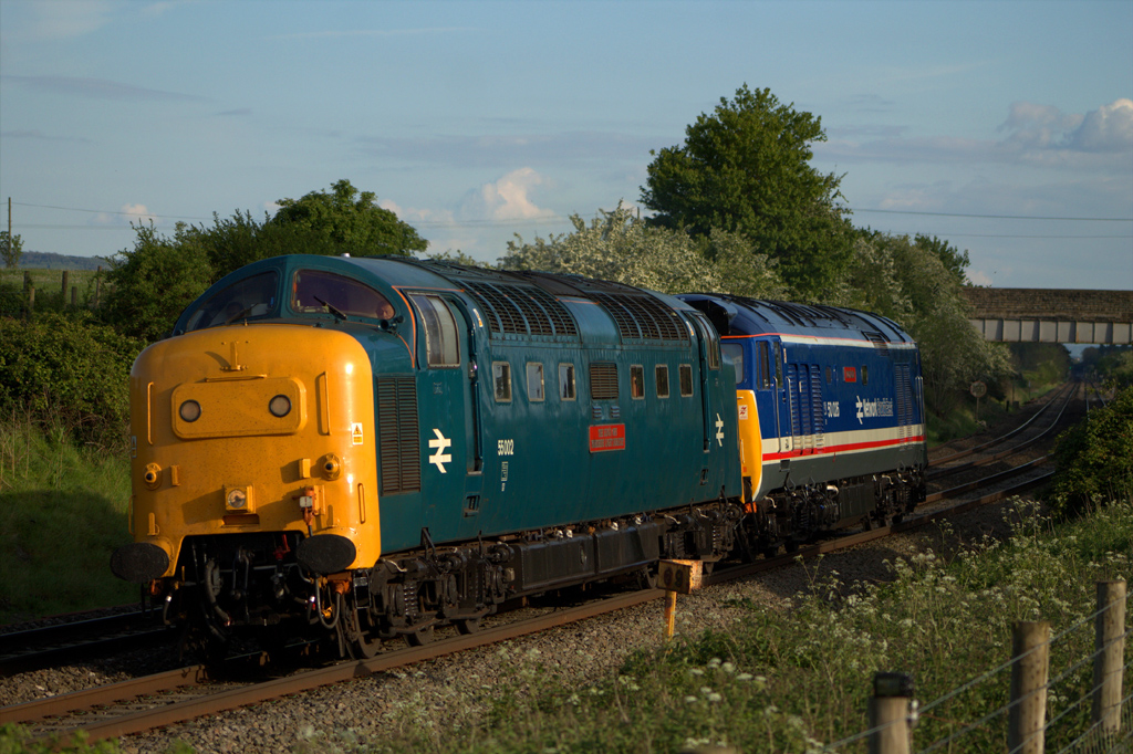 Nos. 55002 and 50026 at Abbotswood
