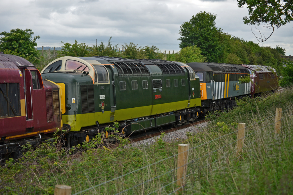D9009 at Abbotswood