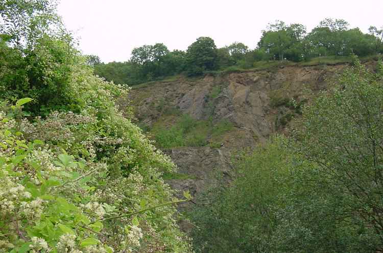 Hollybush Quarry - 2