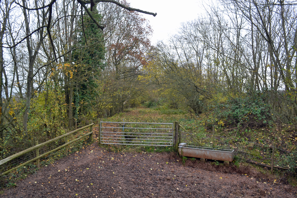 Knightwick view towards Worcester